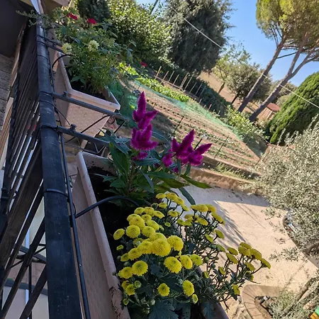 La Roccetta Assisi View Terrace Stone House * Rivotorto